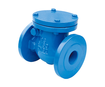ZHMIS-D1 DIN 3202 Swing Type Check Valves Flanged End